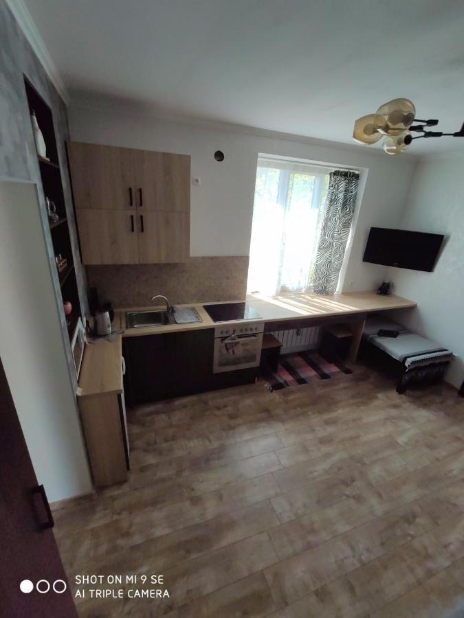 Однокімнатна Квартира-Студія Біля Парку Шевченка 伊万诺-弗兰科夫斯克 外观 照片